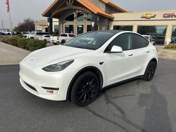 TESLA MODEL Y 2023 7SAYGDEE6PF921552 image